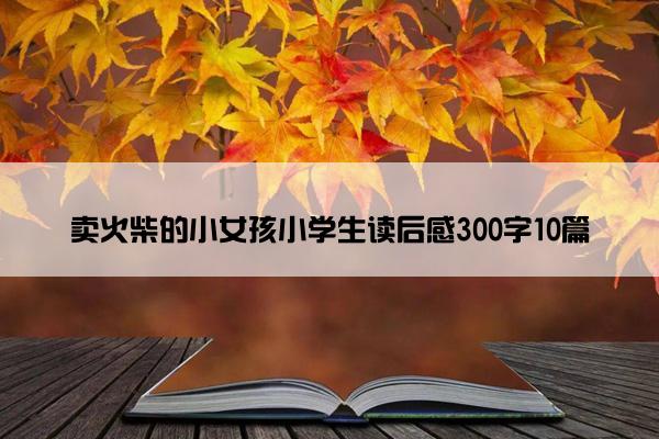 卖火柴的小女孩小学生读后感300字10篇