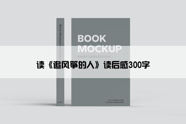 读《追风筝的人》读后感300字