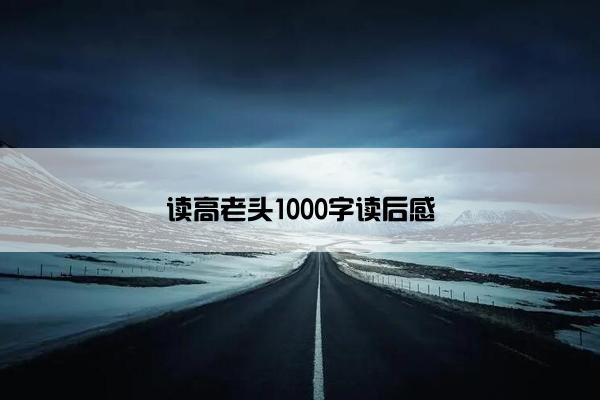 读高老头1000字读后感