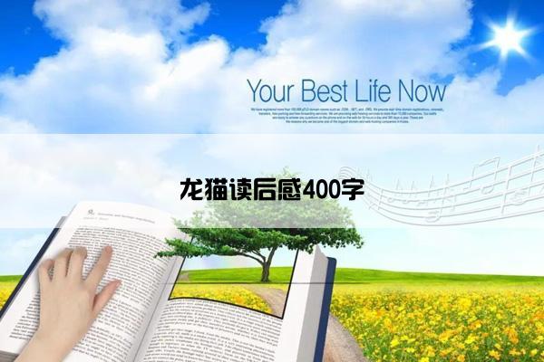 龙猫读后感400字
