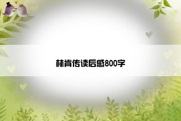 林肯传读后感800字