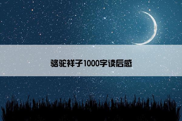 骆驼祥子1000字读后感