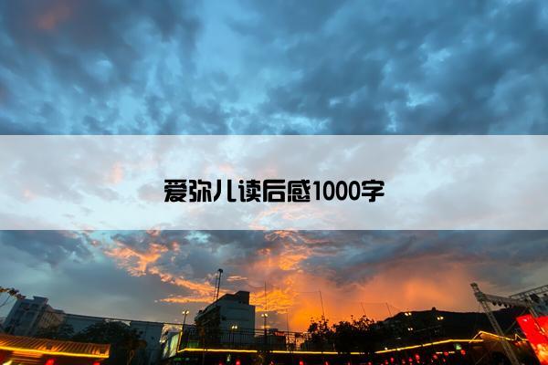 爱弥儿读后感1000字