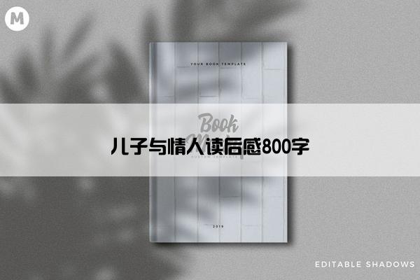 儿子与情人读后感800字