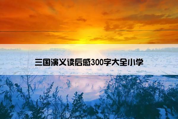 三国演义读后感300字大全小学