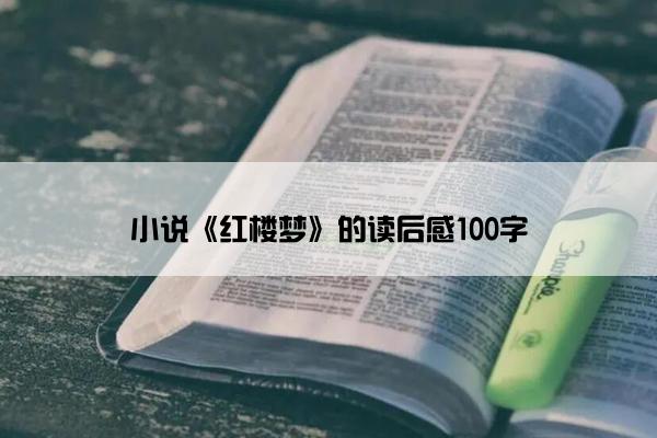 小说《红楼梦》的读后感100字