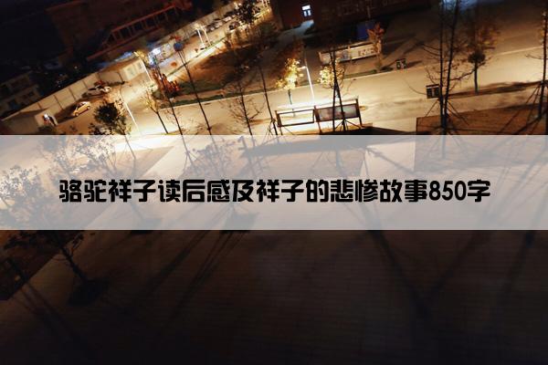 骆驼祥子读后感及祥子的悲惨故事850字