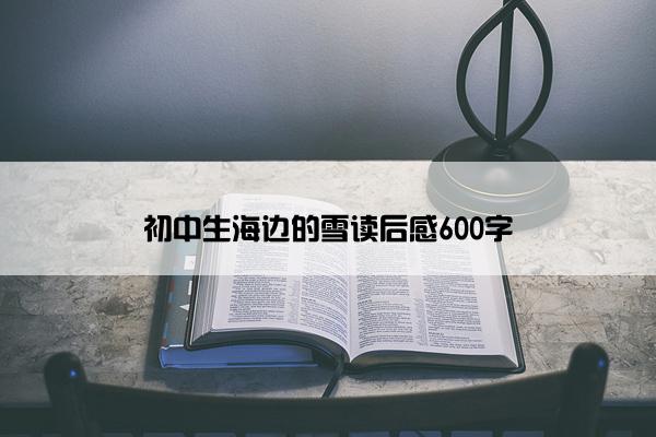 初中生海边的雪读后感600字