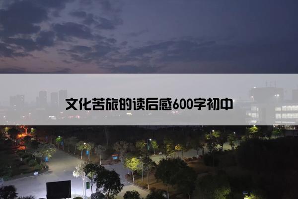 文化苦旅的读后感600字初中