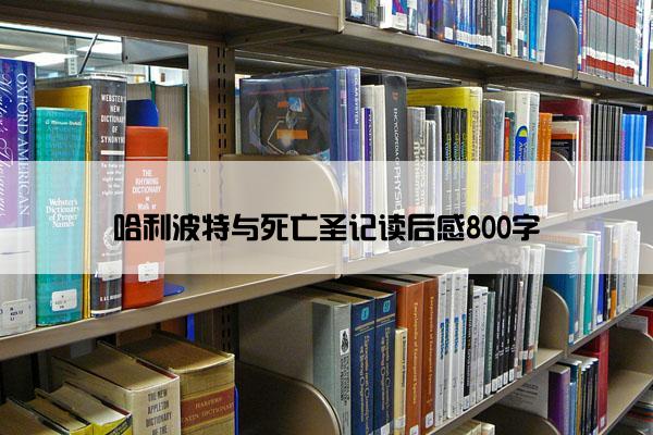 哈利波特与死亡圣记读后感800字
