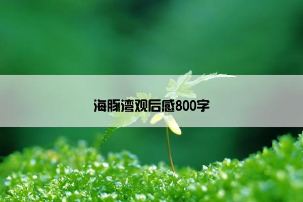 海豚湾观后感800字