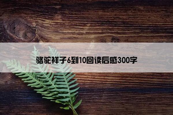 骆驼祥子6到10回读后感300字