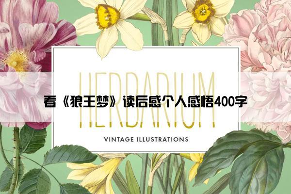 看《狼王梦》读后感个人感悟400字