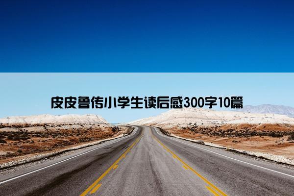 皮皮鲁传小学生读后感300字10篇