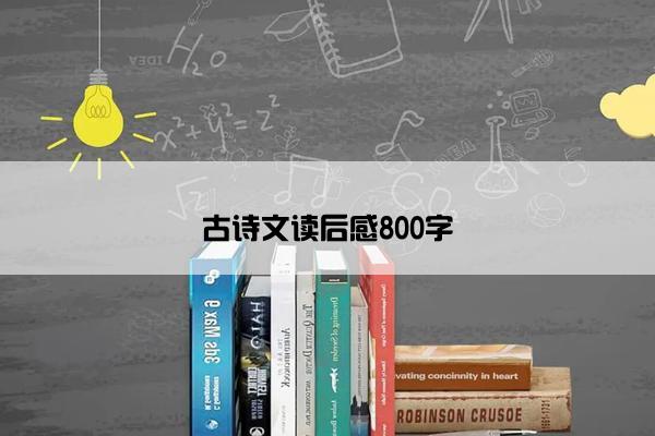 古诗文读后感800字