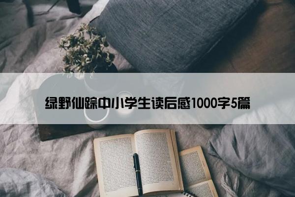 绿野仙踪中小学生读后感1000字5篇