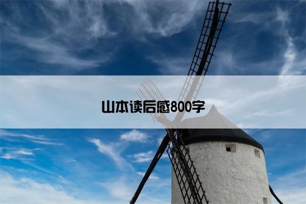 山本读后感800字