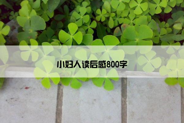 小妇人读后感800字