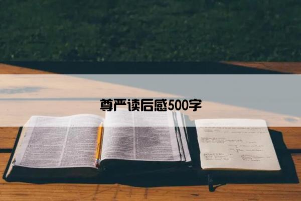 尊严读后感500字
