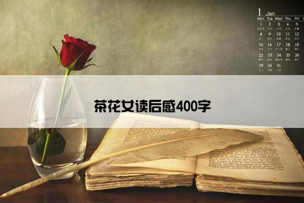 茶花女读后感400字