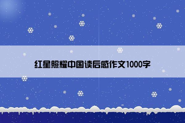 红星照耀中国读后感作文1000字