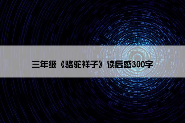 三年级《骆驼祥子》读后感300字