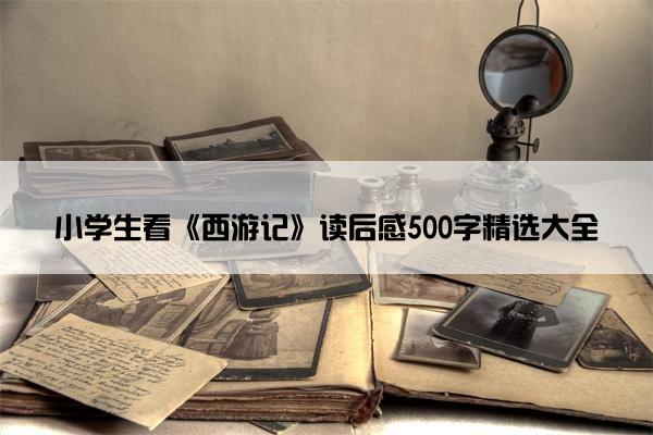 小学生看《西游记》读后感500字精选大全