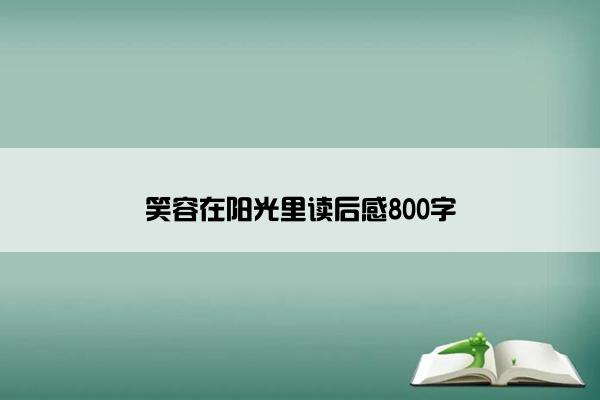 笑容在阳光里读后感800字