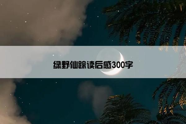 绿野仙踪读后感300字