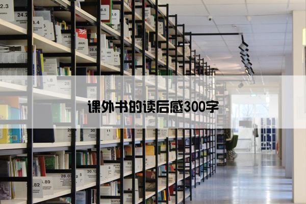 课外书的读后感300字