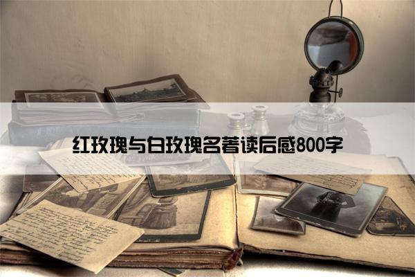 红玫瑰与白玫瑰名著读后感800字