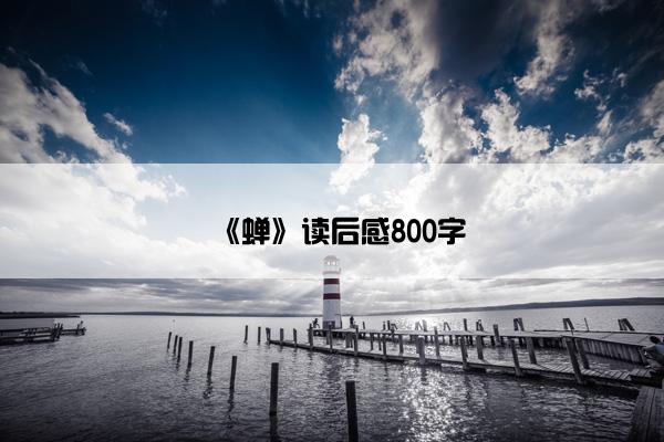 《蝉》读后感800字