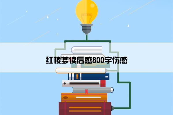 红楼梦读后感800字伤感