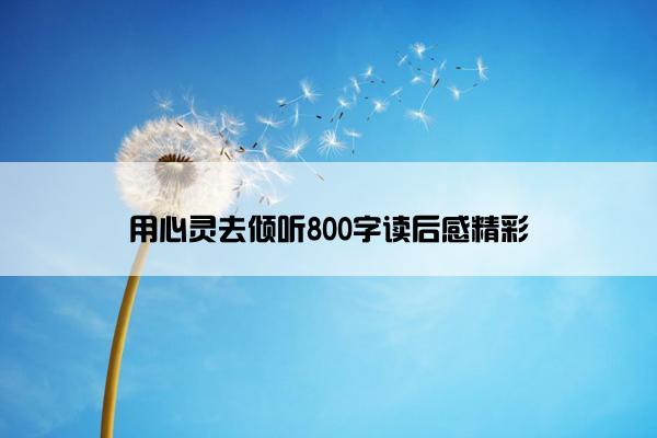 用心灵去倾听800字读后感精彩