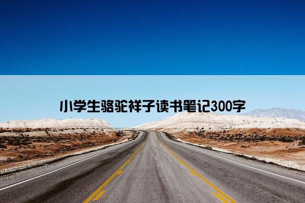 小学生骆驼祥子读书笔记300字