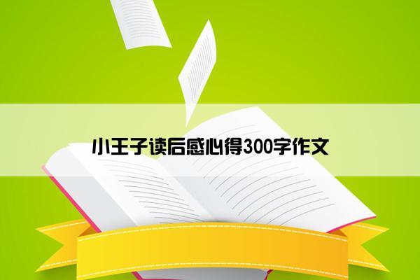 小王子读后感心得300字作文