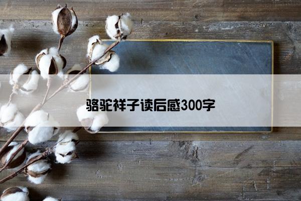 骆驼祥子读后感300字