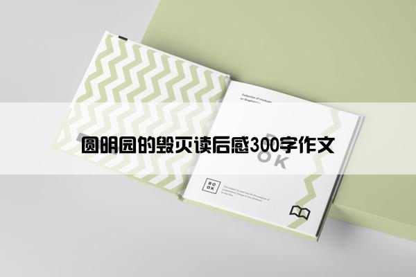 圆明园的毁灭读后感300字作文