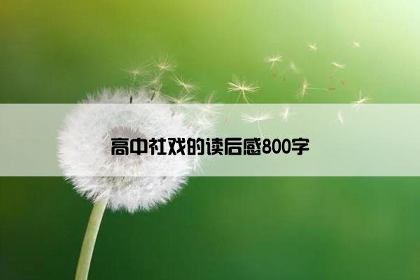 高中社戏的读后感800字