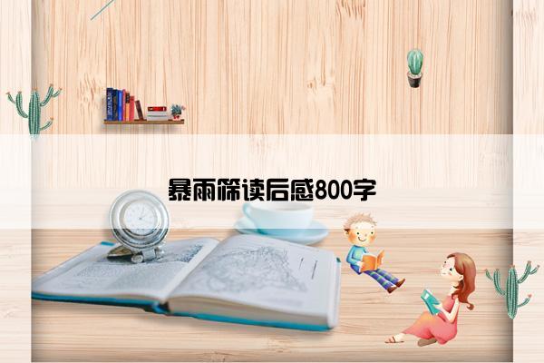 暴雨筛读后感800字