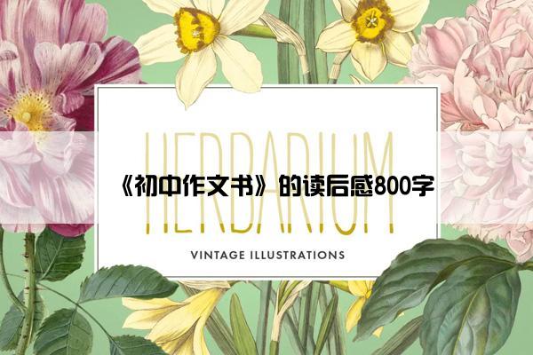 《初中作文书》的读后感800字