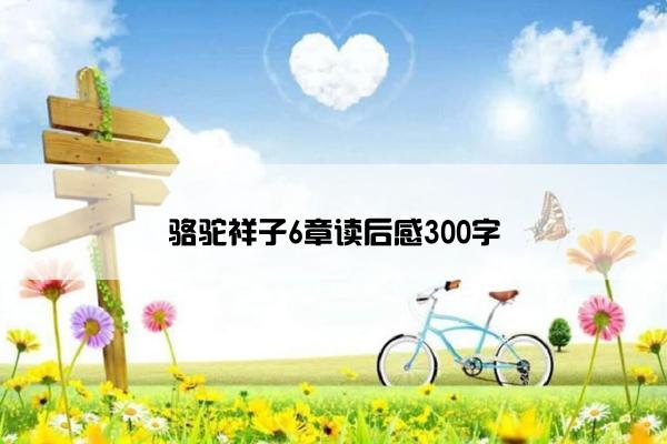 骆驼祥子6章读后感300字