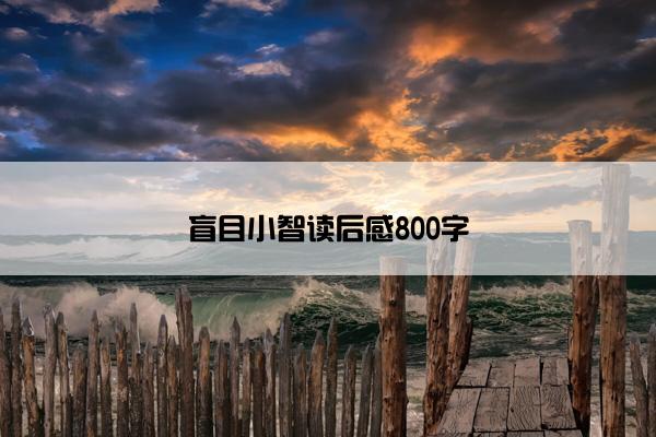盲目小智读后感800字