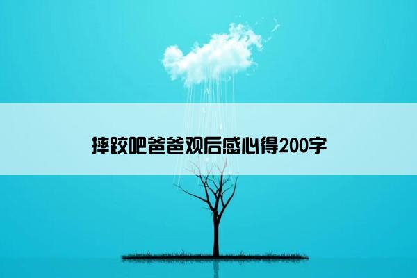 摔跤吧爸爸观后感心得200字