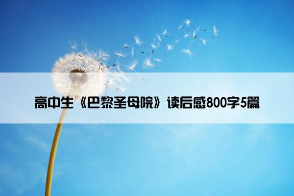高中生《巴黎圣母院》读后感800字5篇