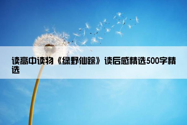 读高中读物《绿野仙踪》读后感精选500字精选