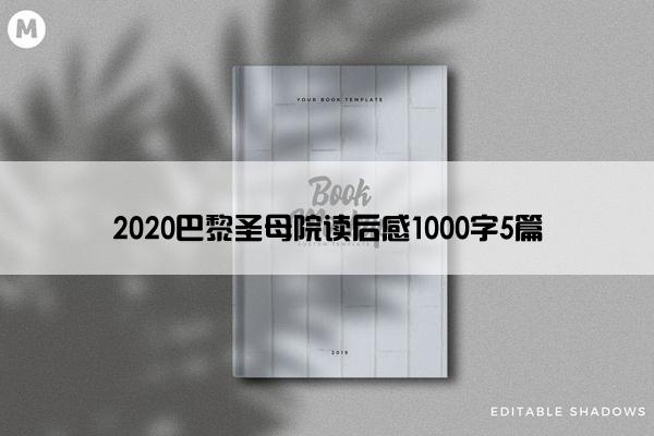 2020巴黎圣母院读后感1000字5篇
