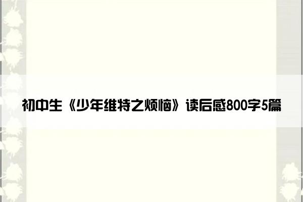 初中生《少年维特之烦恼》读后感800字5篇