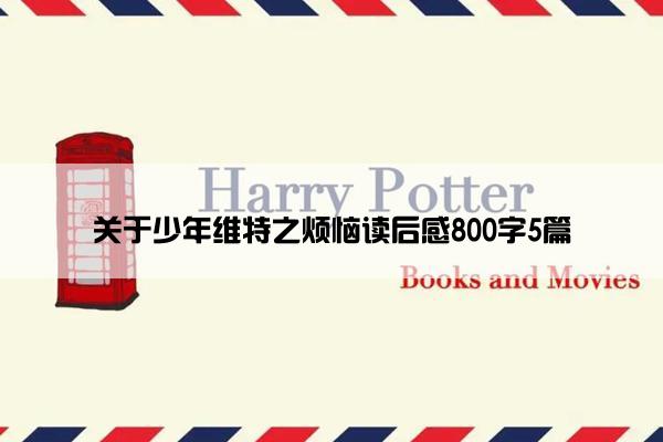 关于少年维特之烦恼读后感800字5篇