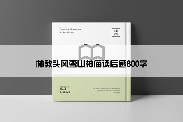 林教头风雪山神庙读后感800字